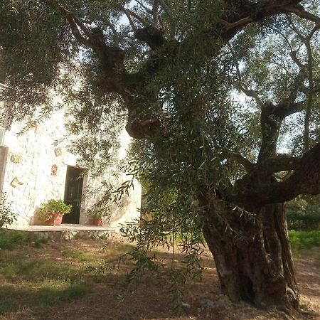 Olive Trees Villa Tragaki Exterior photo