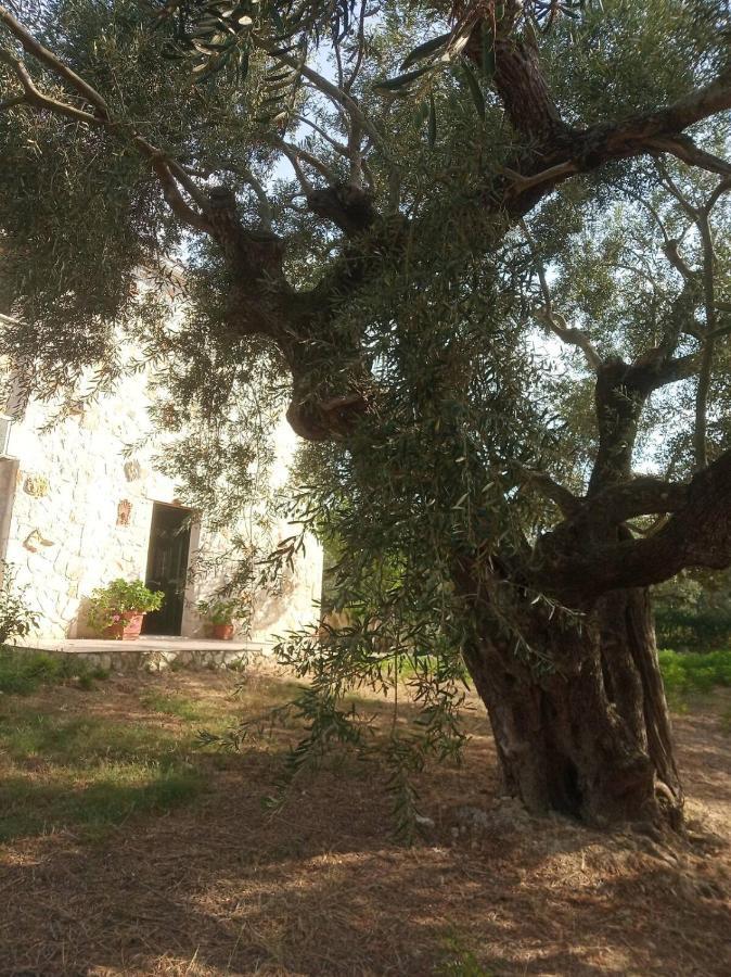 Olive Trees Villa Tragaki Exterior photo